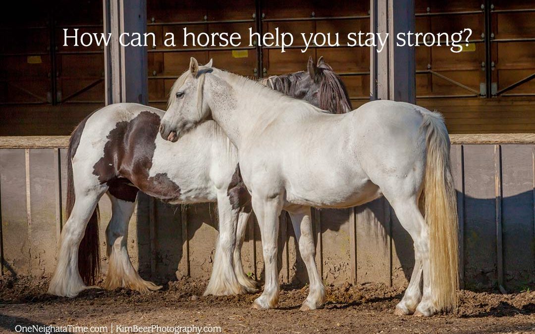 How can a horse help you stay strong?