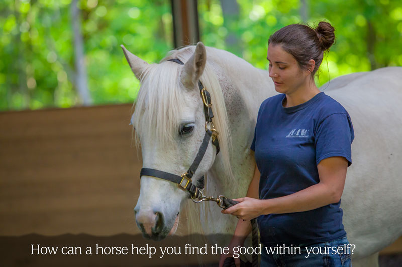 How can a horse help you find the good within yourself?